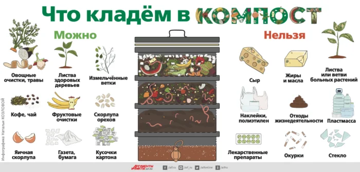 Инфографика, компост