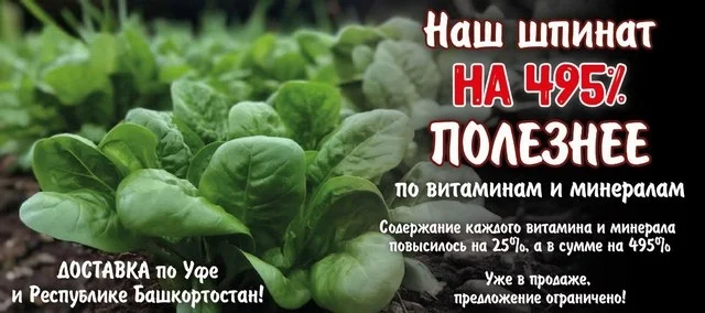 шпинат башинком