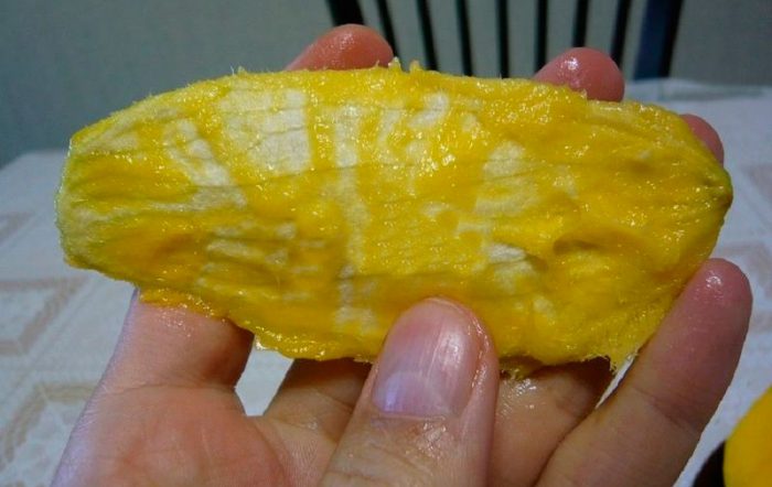 Рисунок - Как вырастить манго из косточки