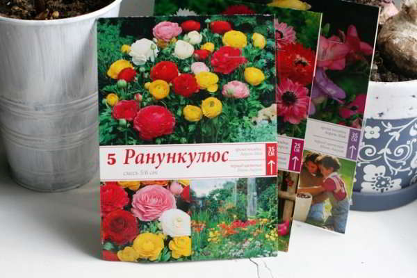 Рисунок - Ранункулюс